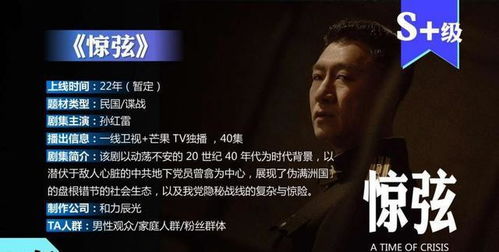 谍战剧《惊弦》在线观看免费高清（谍战剧惊弦在线观看免费高清_连环套收玉小哥）