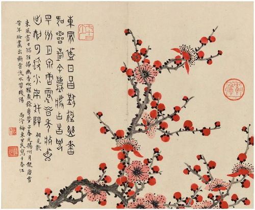 金花瓶楷梅花1在哪里看（金瓶梅花几月开 小说）