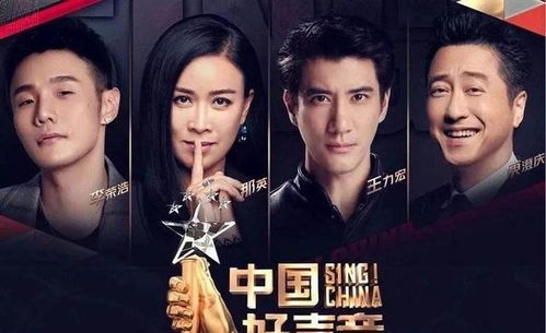 中国新歌声第二季冠军（2013年超级男声前十名）