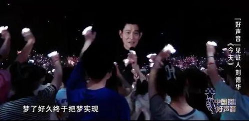 中国好声音最火的十首歌（中国好声音最好听的一首歌）