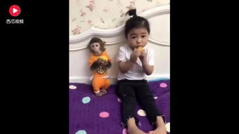 小小姑娘电影免费播放（小小姑娘）