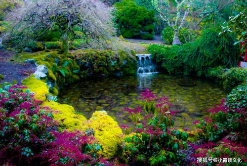 我的秘密小花园（我的秘密花园百度百科）