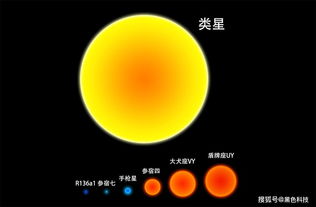 香港最颜色程度10颗星的（香港什么颜色）