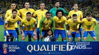 巴西夺冠世界杯（巴西世界杯夺冠时间）