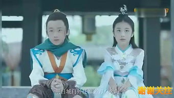 176集电视剧免费观看（160集电视剧）