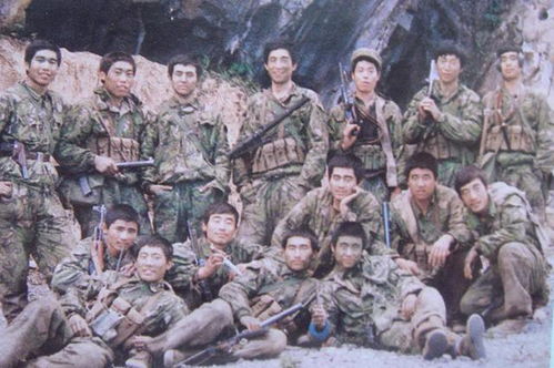 10部对越自卫反击战电影（10部对越自卫反击战电影无影侦查队）