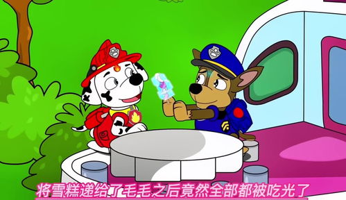 动画片大全集少儿（动画片大全集少儿视频）