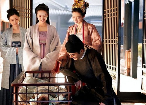 三妻四妾免费观看完整（三妻四妾 rmvb 下载）