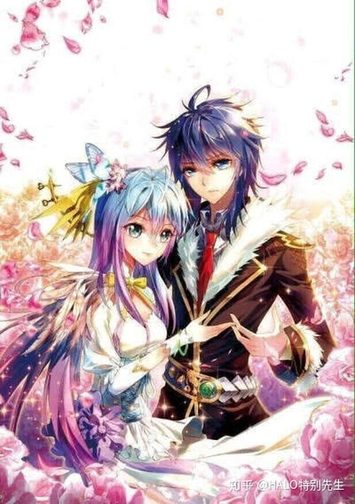 斗罗大陆200到300集（斗罗大陆200到300集剧情）