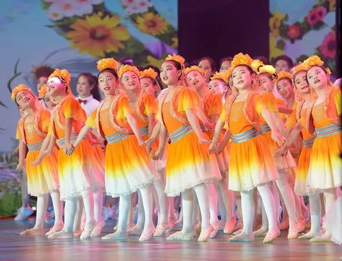 陕北2025春晚小品（2020年陕西春晚小品）