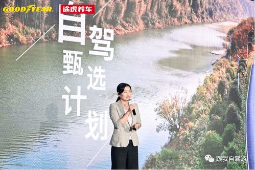 《走天涯》原唱（一同跟主走天涯原唱）