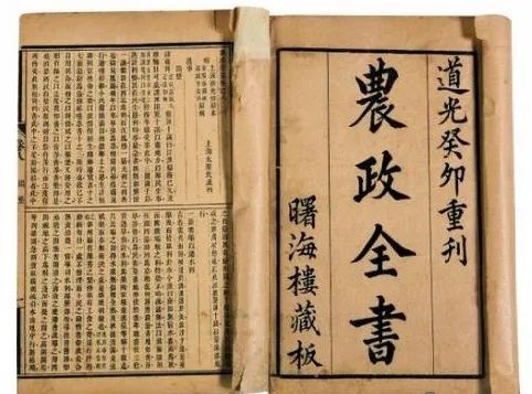 《强娶》作者:凤池吟（强娶 作者凤池吟）