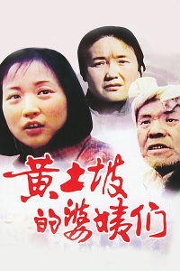 黄土坡的婆姨们（黄土坡的婆姨们爆火短剧）
