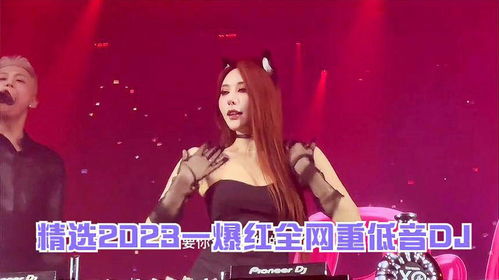 十大网络爆红歌曲（十大网络爆红歌曲DJ）