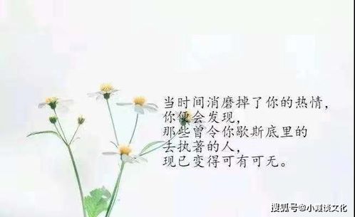 生活随心的句子（生活随心的句子唯美）